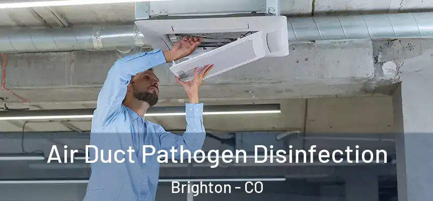 Air Duct Pathogen Disinfection Brighton - CO
