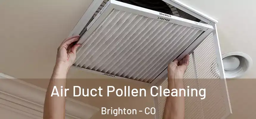 Air Duct Pollen Cleaning Brighton - CO