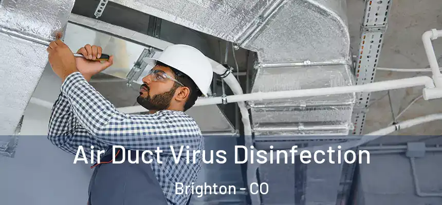  Air Duct Virus Disinfection Brighton - CO