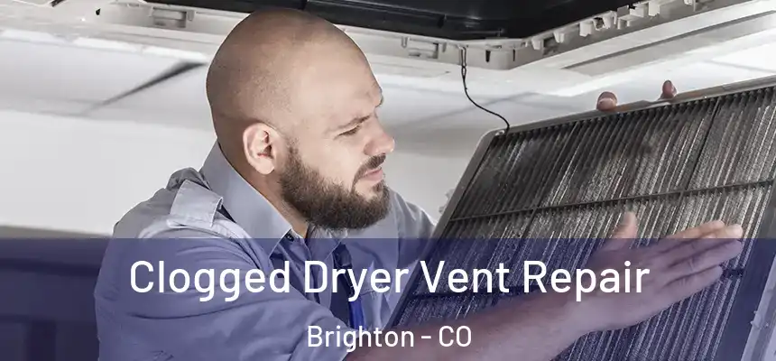  Clogged Dryer Vent Repair Brighton - CO