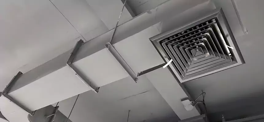 Restorative Allergy Relief Vent Cleaning – Coil, Blower & Housing Detail in Brighton