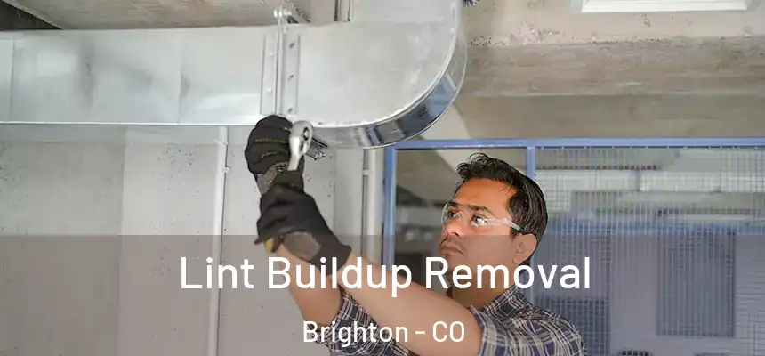  Lint Buildup Removal Brighton - CO