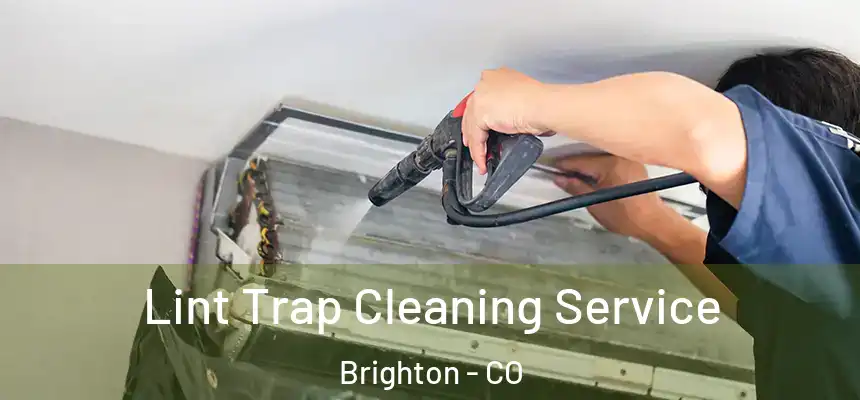  Lint Trap Cleaning Service Brighton - CO