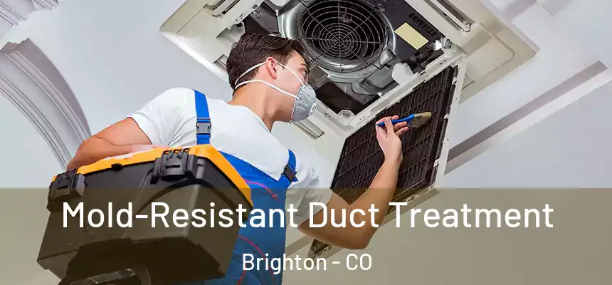 Mold-Resistant Duct Treatment Brighton - CO