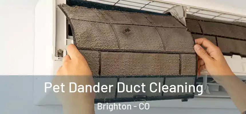 Pet Dander Duct Cleaning Brighton - CO