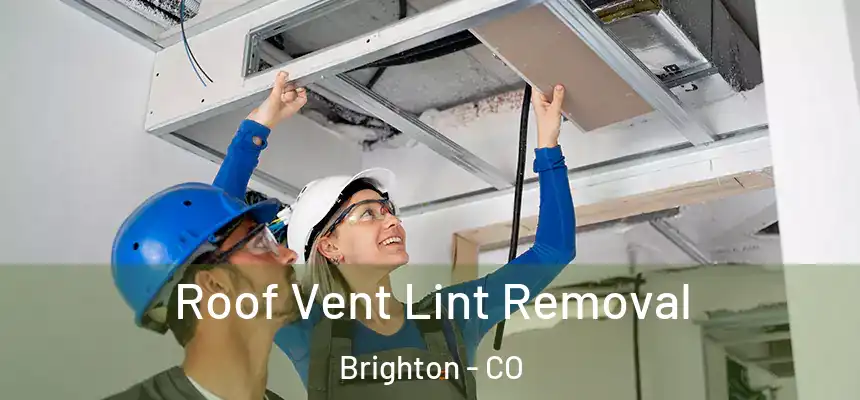  Roof Vent Lint Removal Brighton - CO
