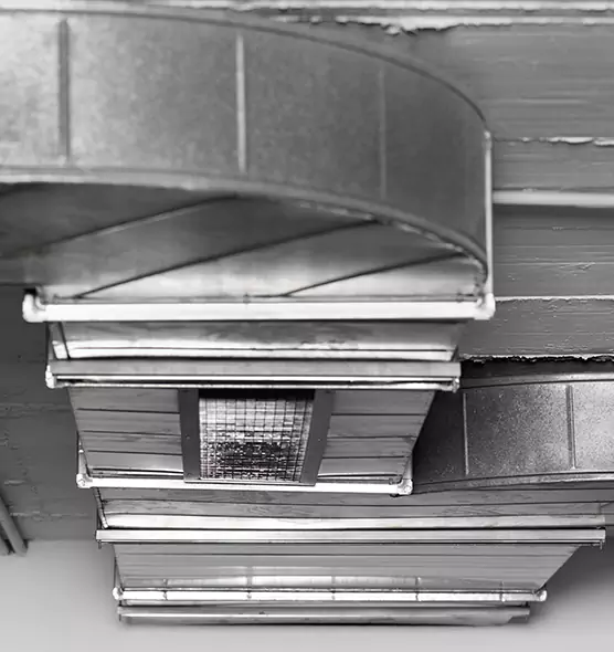 Professional Air Duct Pest Removal in Brighton, CO