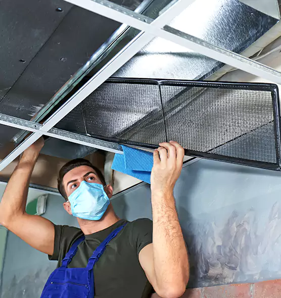 Professional Air Duct Pollen Cleaning in Brighton, CO