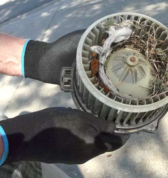 About Air Duct Rat Removal in Brighton, CO