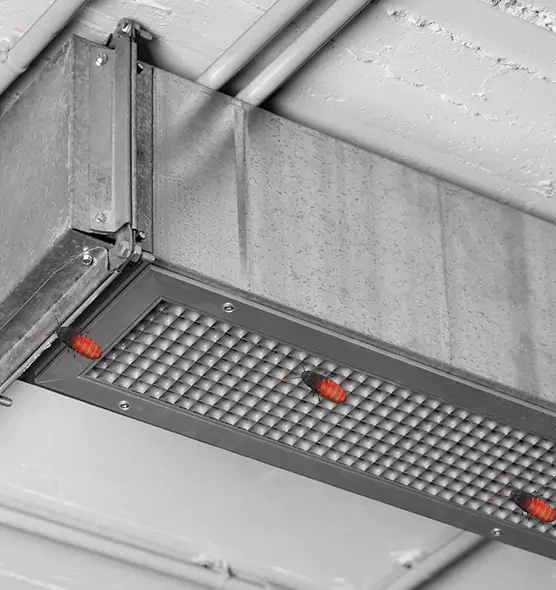 Affordable Insect Removal from Air Ducts in Brighton, CO