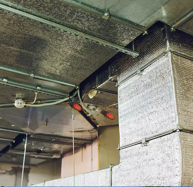 Why Homeowners & Businesses Trust Us in Brighton, CO?