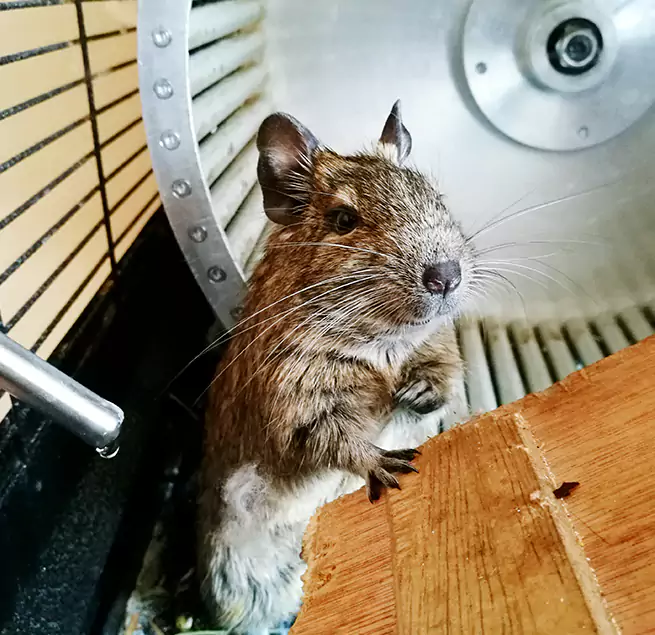 Why Homeowners & Businesses Trust Us Brighton, CO?