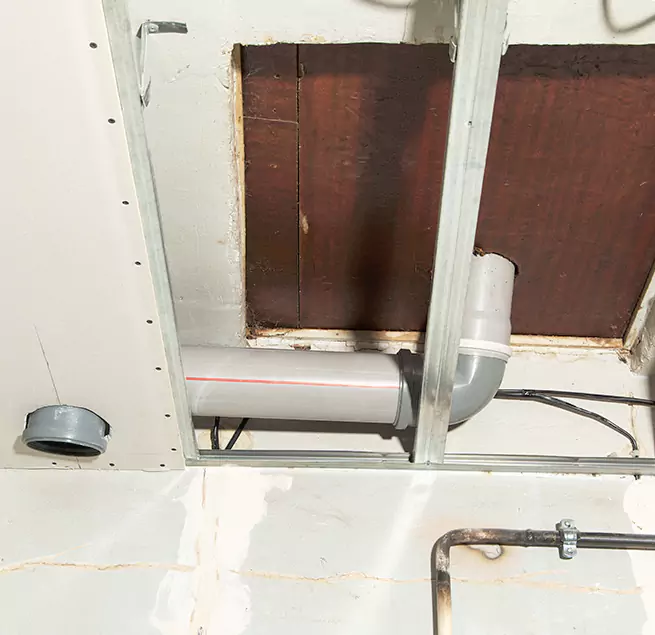 Why Homeowners & Businesses Trust Us in Brighton, CO?