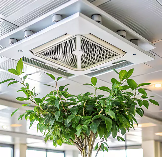 Why Homeowners & Businesses Trust Us in Brighton, CO?