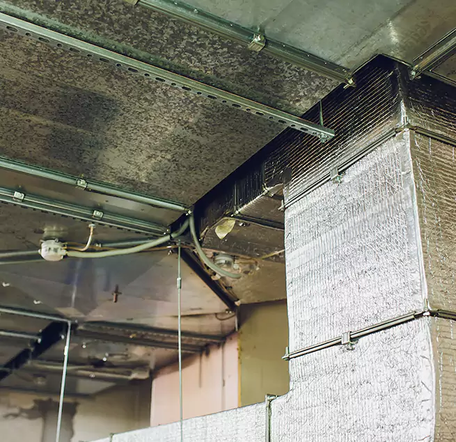 Why Homeowners & Businesses Trust Us in Brighton, CO?