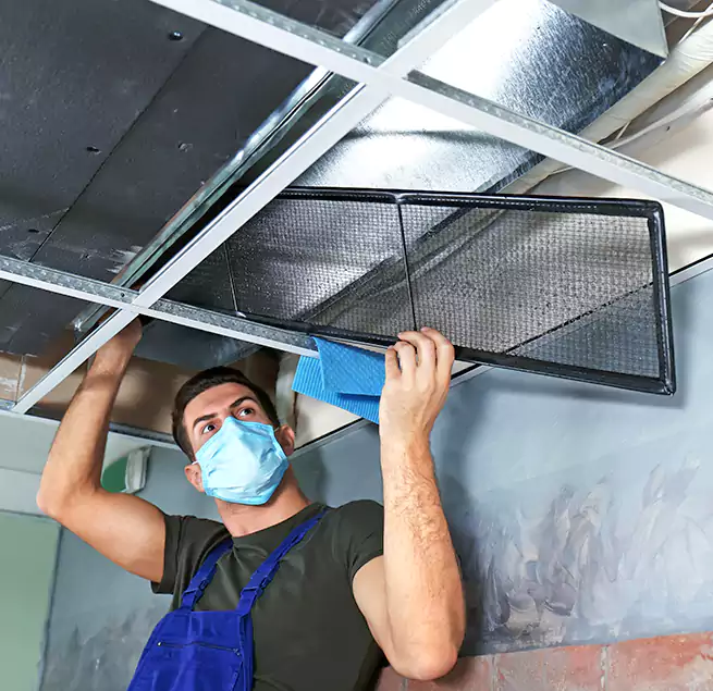 Why Homeowners Businesses Trust Us in Brighton, CO